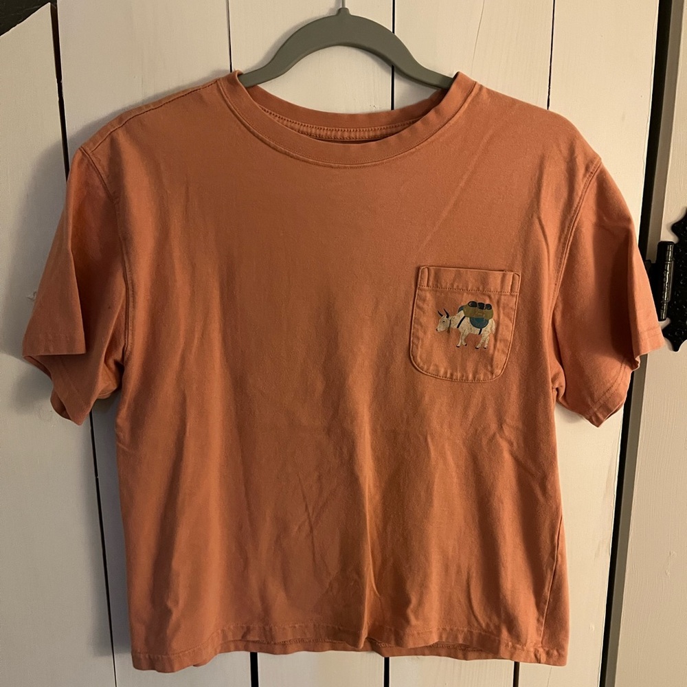 Mountain Hardware Shirt